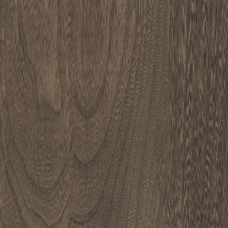 Elm-Driftwood-FC-11434