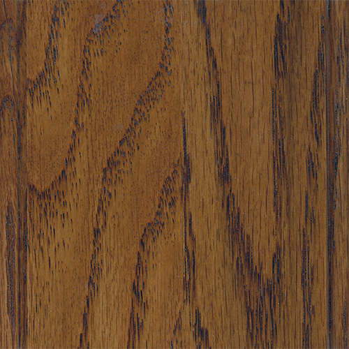 Malguainia CSFC-N3176-OAK