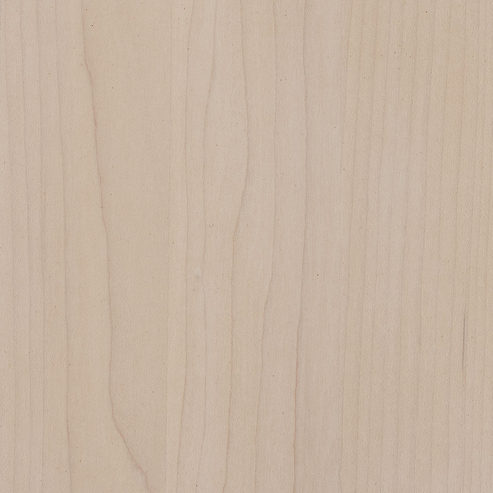Spectrum-Finishing-Hard-Maple-PCL-Limed-D22CW00148